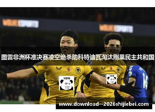 图雷非洲杯准决赛凌空绝杀助科特迪瓦淘汰刚果民主共和国 图雷非洲杯准决赛凌空绝杀助科特迪瓦淘汰刚果民主共和国